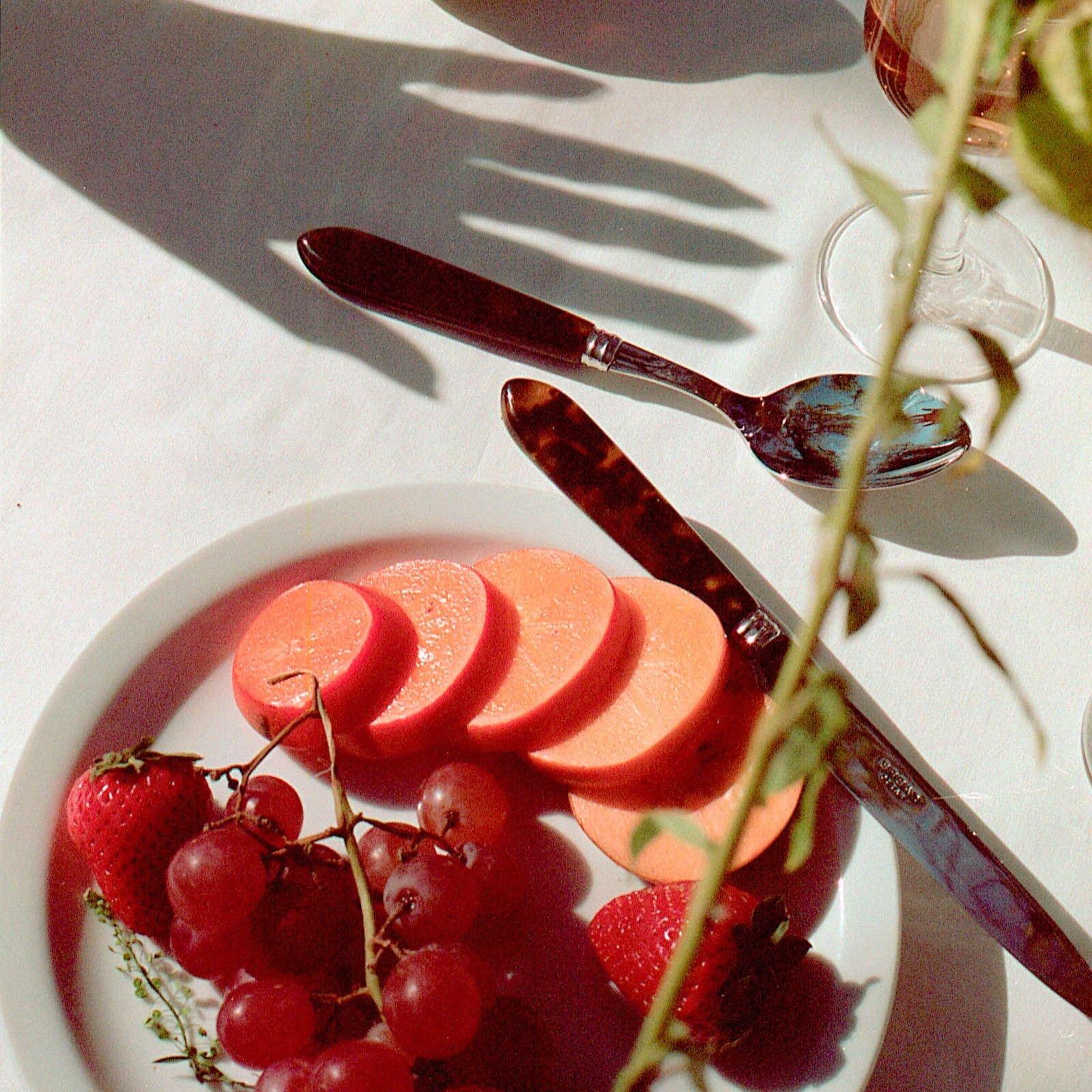 Tortoise, Faux Tortoise - 32 pieces cutlery set