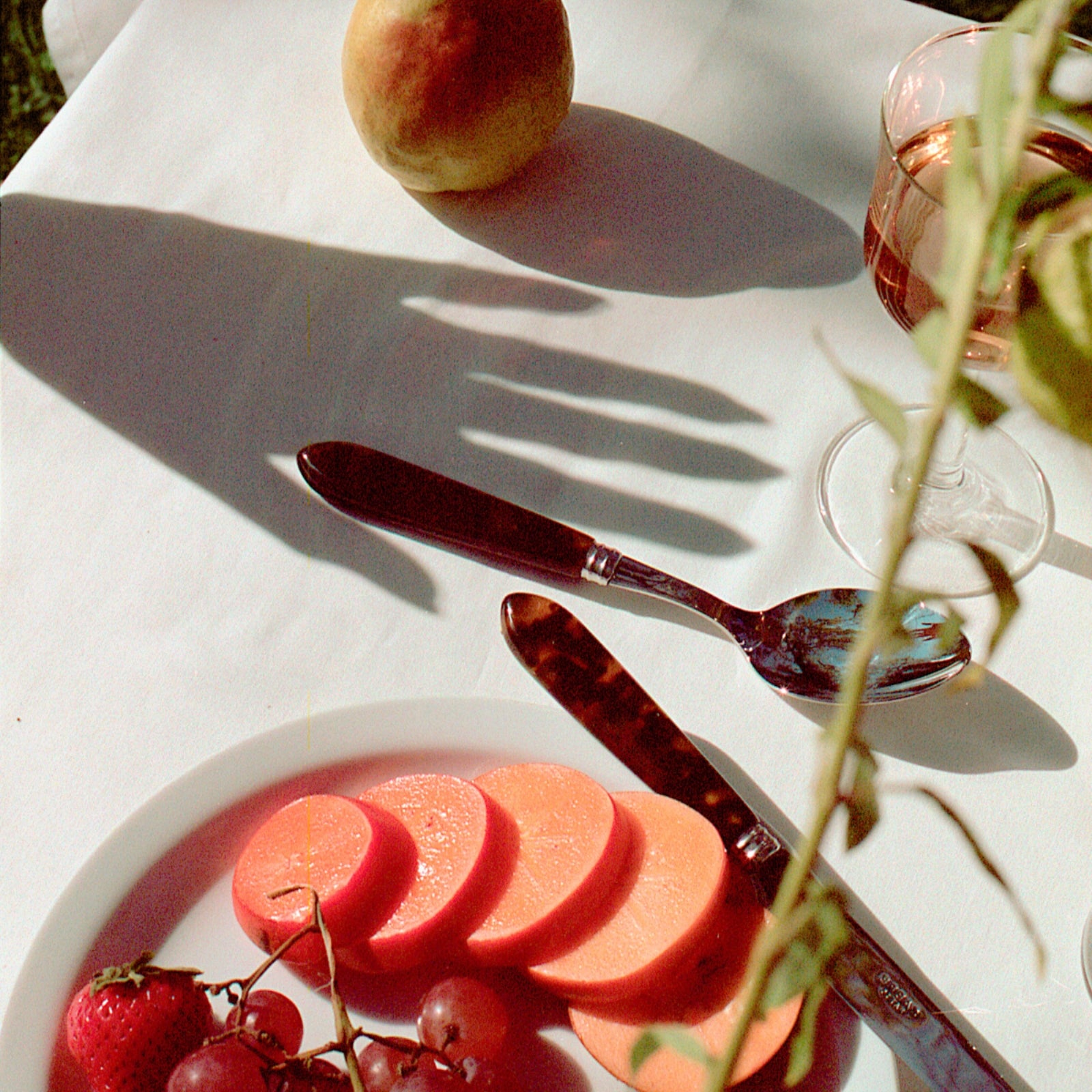 Tortoise, Faux Tortoise - 4 pieces cutlery set